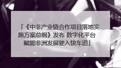 《中非产业链合作项目落地实施方案总纲》发布 数字化平台赋能非洲发展驶入快车道