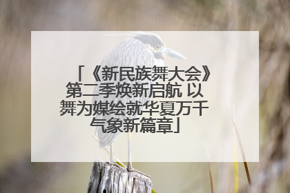 《新民族舞大会》第二季焕新启航 以舞为媒绘就华夏万千气象新篇章