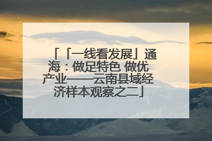 「一线看发展」通海：做足特色 做优产业——云南县域经济样本观察之二