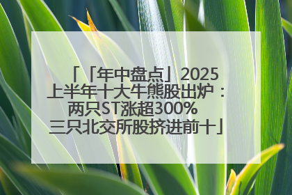 「年中盘点」2025上半年十大牛熊股出炉：两只ST涨超300% 三只北交所股挤进前十