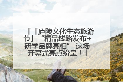 「庐陵文化生态旅游节」“精品线路发布+研学品牌亮相” 这场开幕式亮点纷呈！