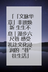 「文脉华章」非遗焕新 生生不息｜漫步六尺巷 感受礼让文化浸润的“巷”往生活