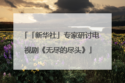 「新华社」专家研讨电视剧《无尽的尽头》