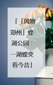 「风物郑州」蝶湖公园：一湖蝶变看今昔