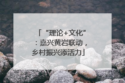 “理论+文化”：嘉兴黄岩联动，乡村振兴添活力