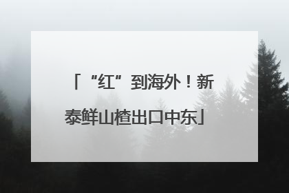 “红”到海外！新泰鲜山楂出口中东