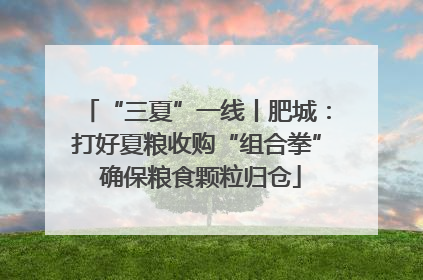 “三夏”一线丨肥城：打好夏粮收购“组合拳” 确保粮食颗粒归仓