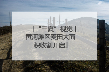 “三夏”视觉｜黄河滩区麦田大面积收割开启