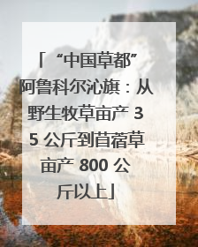 “中国草都” 阿鲁科尔沁旗：从野生牧草亩产 35 公斤到苜蓿草亩产 800 公斤以上