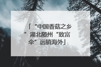 “中国香菇之乡”湖北随州“致富伞”远销海外