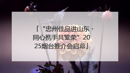 “忠州佳品进山东・同心携手共繁荣”2025烟台推介会启幕