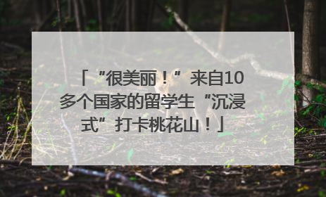 “很美丽！”来自10多个国家的留学生“沉浸式”打卡桃花山！