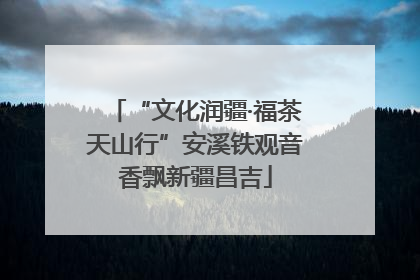 “文化润疆·福茶天山行”安溪铁观音香飘新疆昌吉