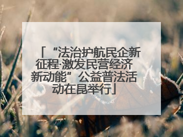 “法治护航民企新征程·激发民营经济新动能”公益普法活动在昆举行