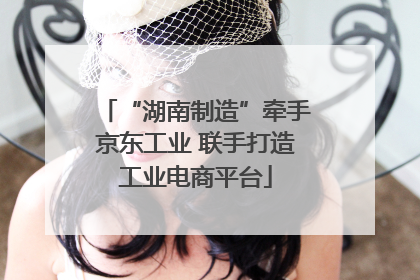 “湖南制造”牵手京东工业 联手打造工业电商平台