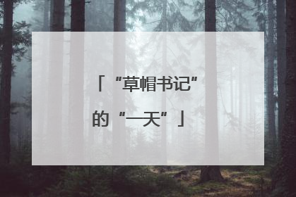 “草帽书记”的“一天”