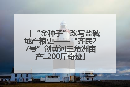 “金种子”改写盐碱地产粮史——“齐民27号”创黄河三角洲亩产1200斤奇迹