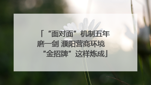 “面对面”机制五年磨一剑 濮阳营商环境“金招牌”这样炼成