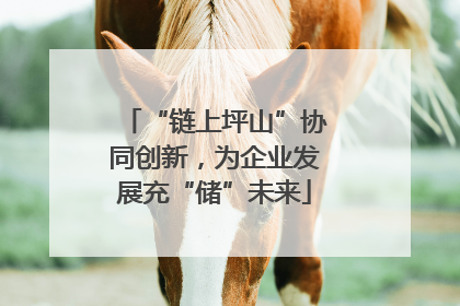 “链上坪山”协同创新，为企业发展充“储”未来