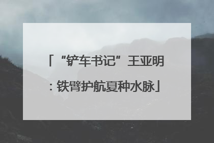“铲车书记”王亚明：铁臂护航夏种水脉