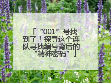 “001”号找到了！探寻这个连队寻找编号背后的“精神密码”