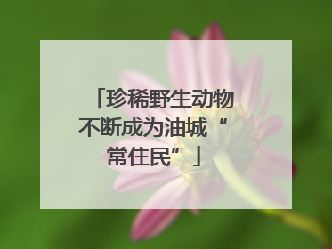 珍稀野生动物不断成为油城“常住民”