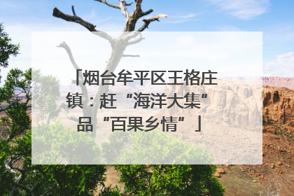 烟台牟平区王格庄镇：赶“海洋大集” 品“百果乡情”
