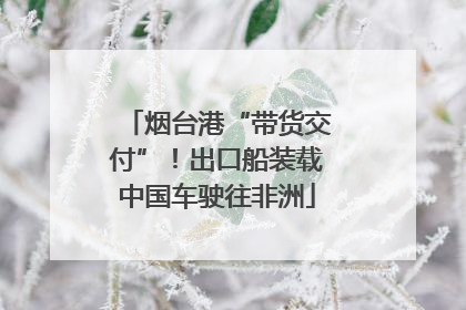 烟台港“带货交付”！出口船装载中国车驶往非洲
