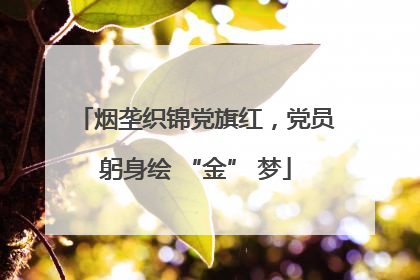 烟垄织锦党旗红，党员躬身绘 “金” 梦