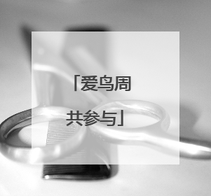爱鸟周 共参与