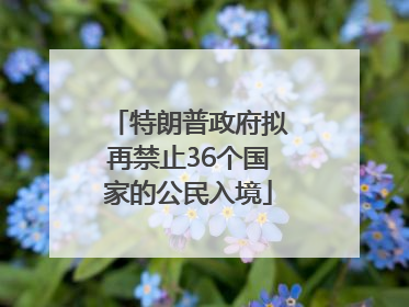 特朗普政府拟再禁止36个国家的公民入境