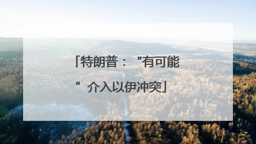 特朗普：“有可能”介入以伊冲突