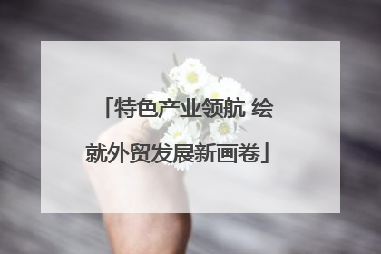 特色产业领航 绘就外贸发展新画卷