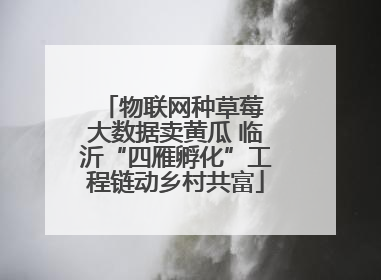 物联网种草莓 大数据卖黄瓜 临沂“四雁孵化”工程链动乡村共富