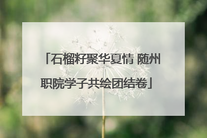 石榴籽聚华夏情 随州职院学子共绘团结卷