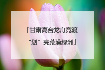 甘肃高台龙舟竞渡“划”亮荒漠绿洲