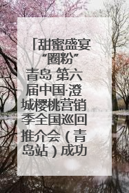 甜蜜盛宴 “圈粉”青岛 第六届中国·澄城樱桃营销季全国巡回推介会（青岛站）成功举办