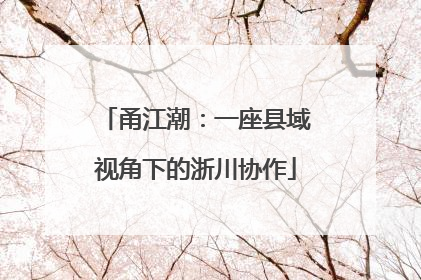 甬江潮：一座县域视角下的浙川协作