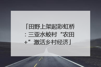 田野上架起彩虹桥：三亚水蛟村“农田+”激活乡村经济