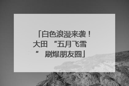 白色浪漫来袭！大田 “五月飞雪” 刷爆朋友圈