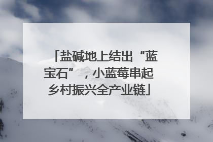 盐碱地上结出“蓝宝石”，小蓝莓串起乡村振兴全产业链