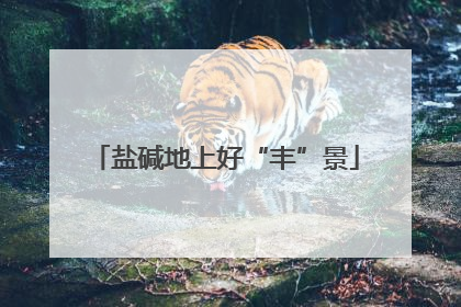 盐碱地上好“丰”景