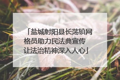 盐城射阳县长荡镇网格员助力民法典宣传 让法治精神深入人心