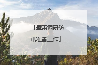 盛蕾调研防汛准备工作