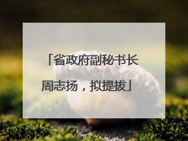 省政府副秘书长周志扬，拟提拔