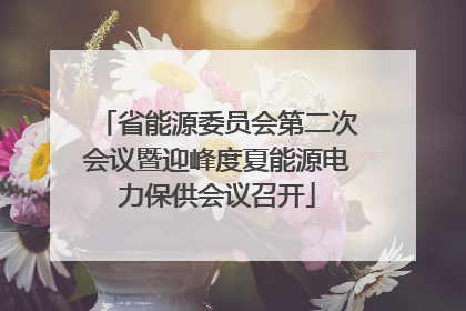 省能源委员会第二次会议暨迎峰度夏能源电力保供会议召开