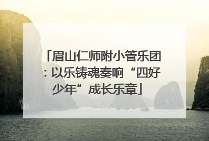 眉山仁师附小管乐团：以乐铸魂奏响“四好少年”成长乐章