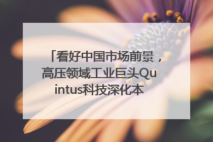 看好中国市场前景，高压领域工业巨头Quintus科技深化本土策略，构建全方位服务亚太区总部