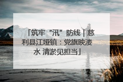 筑牢“汛”防线｜慈利县江垭镇：党旗映溇水 清淤见担当