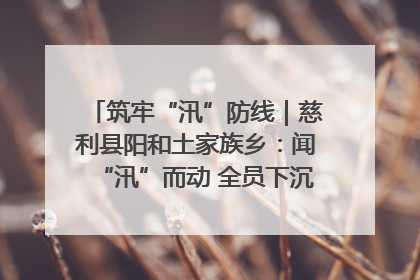 筑牢“汛”防线｜慈利县阳和土家族乡：闻“汛”而动 全员下沉筑牢防汛“安全堤”
